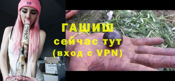 индика Куйбышев