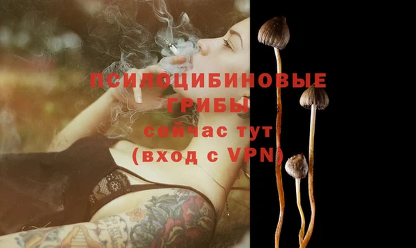 тгк Кулебаки