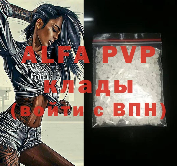 индика Куйбышев