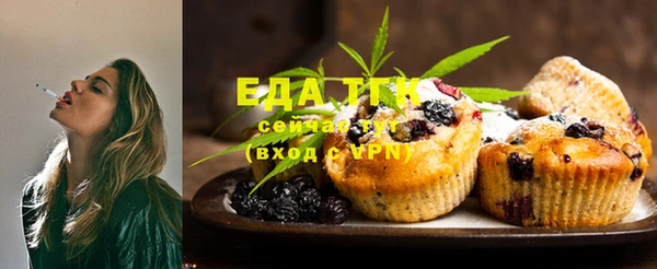индика Куйбышев