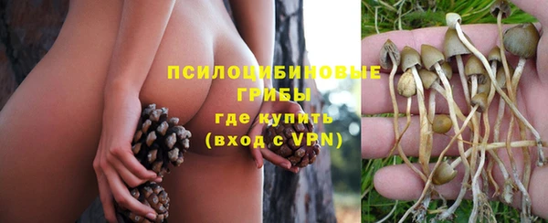 мяу мяу мука Кукмор